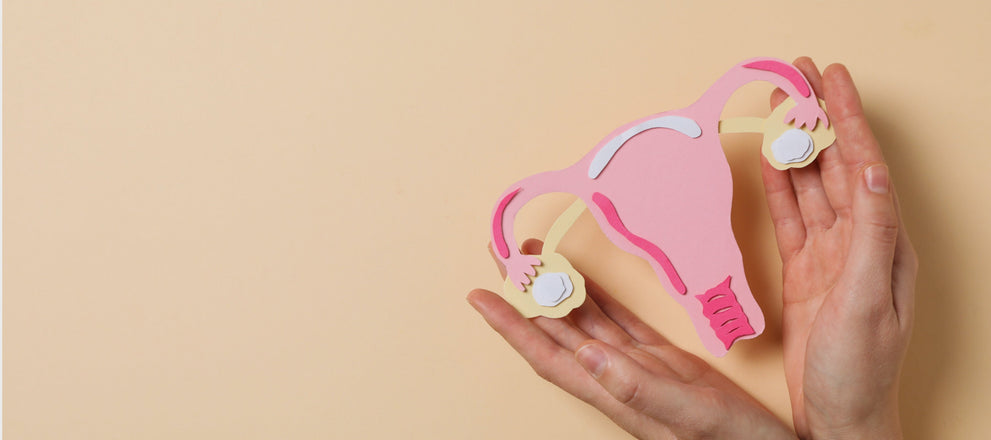 cervix before period vs pregnant