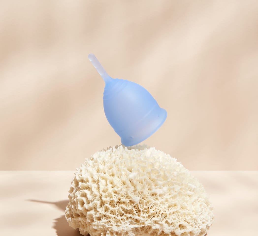 Blue menstrual cup on coral.