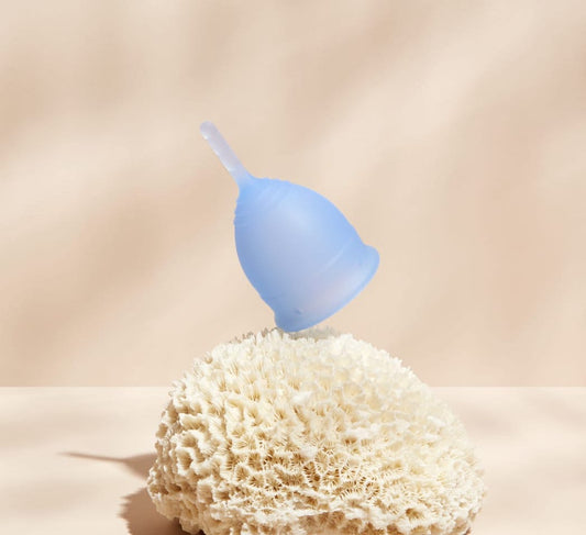 Blue menstrual cup on coral.
